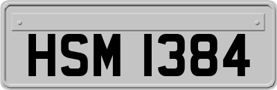 HSM1384