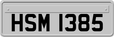 HSM1385
