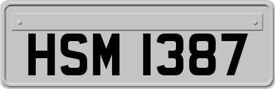 HSM1387