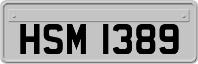 HSM1389