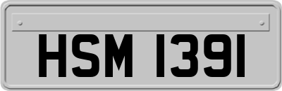 HSM1391