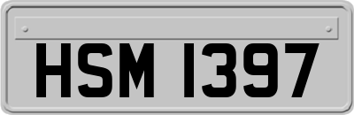 HSM1397