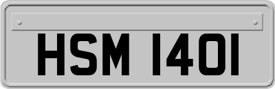 HSM1401