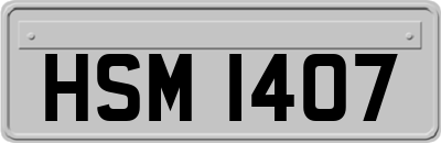 HSM1407