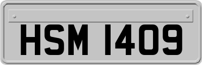 HSM1409