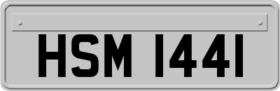 HSM1441