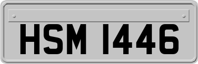 HSM1446