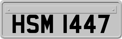 HSM1447