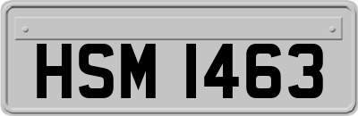 HSM1463