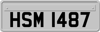 HSM1487