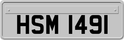 HSM1491