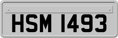 HSM1493