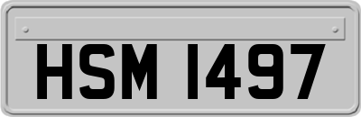 HSM1497