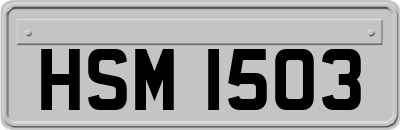 HSM1503