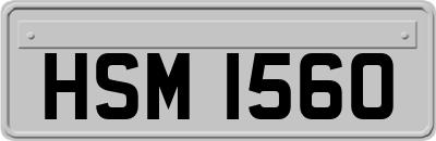 HSM1560