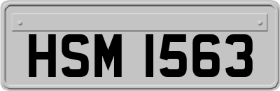 HSM1563