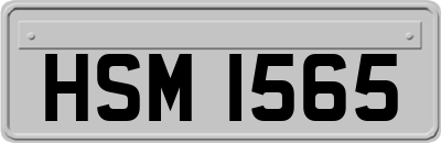 HSM1565