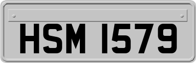 HSM1579