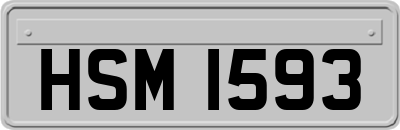 HSM1593