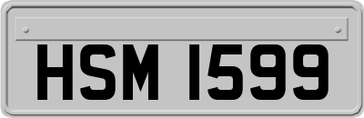 HSM1599