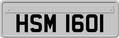 HSM1601
