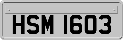 HSM1603