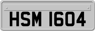 HSM1604