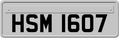 HSM1607