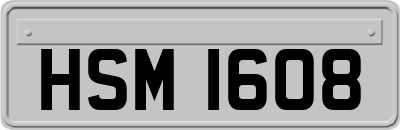 HSM1608