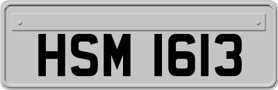 HSM1613