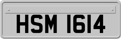 HSM1614