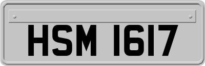 HSM1617