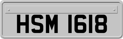 HSM1618