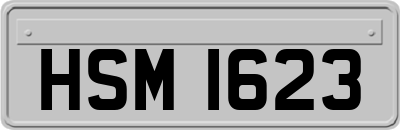 HSM1623