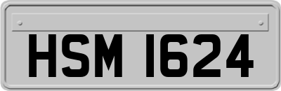 HSM1624