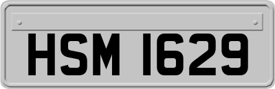 HSM1629