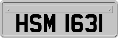 HSM1631