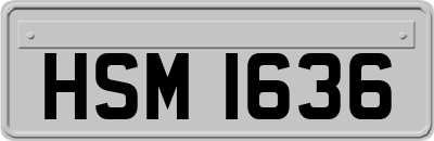 HSM1636