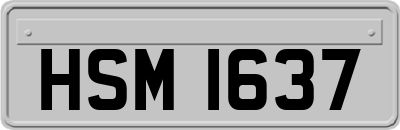 HSM1637