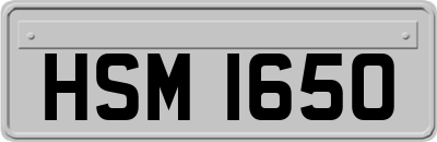 HSM1650