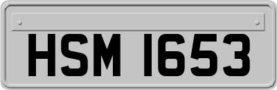 HSM1653