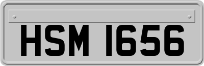 HSM1656
