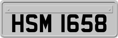HSM1658