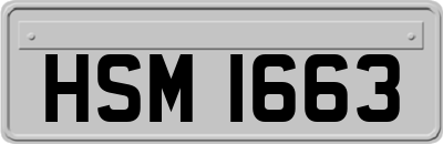 HSM1663