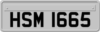 HSM1665