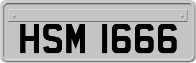 HSM1666