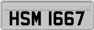 HSM1667