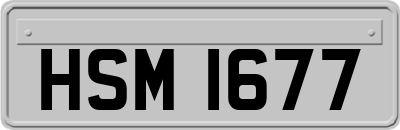 HSM1677