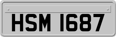 HSM1687