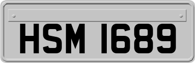 HSM1689